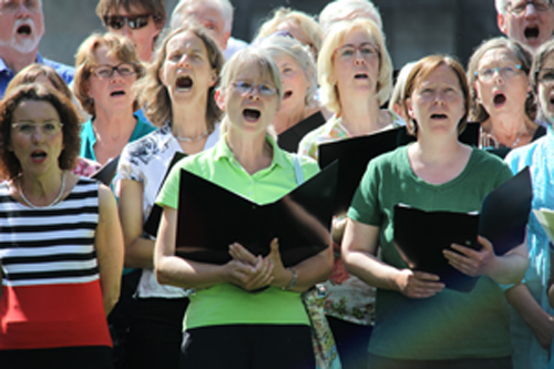 Auftritt im Stadtpark im Juni 2014